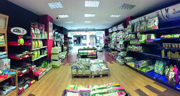 Galería de imágenes